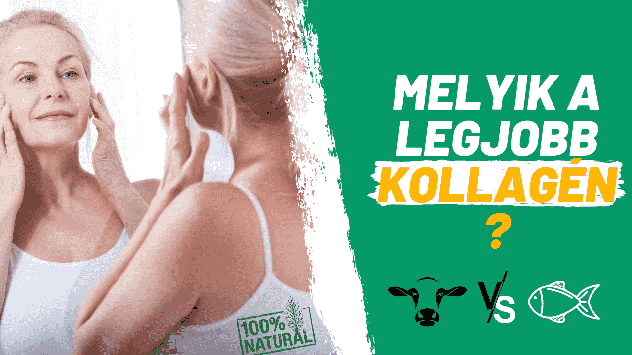 melyik a legjobb kollagén